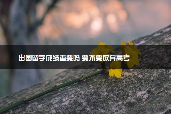 出国留学成绩重要吗 要不要放弃高考