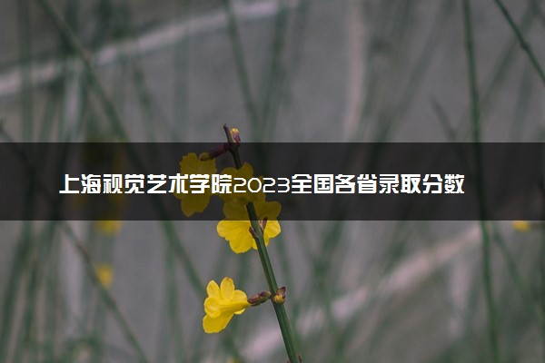 上海视觉艺术学院2023全国各省录取分数线及最低位次 高考多少分能上