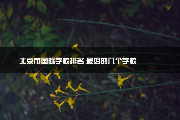 北京市国际学校排名 最好的几个学校