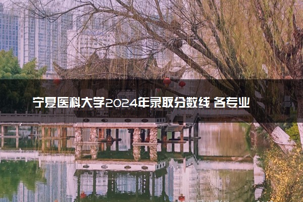 宁夏医科大学2024年录取分数线 各专业录取最低分及位次