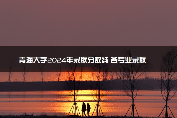 青海大学2024年录取分数线 各专业录取最低分及位次