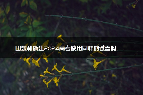 山东和浙江2024高考使用同样的试卷吗 用什么卷