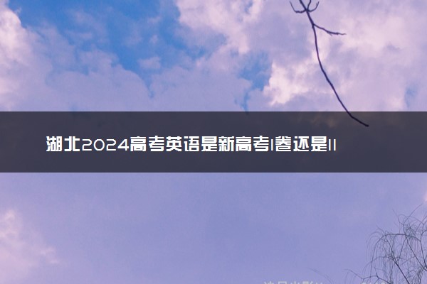 湖北2024高考英语是新高考I卷还是II卷 用什么试卷