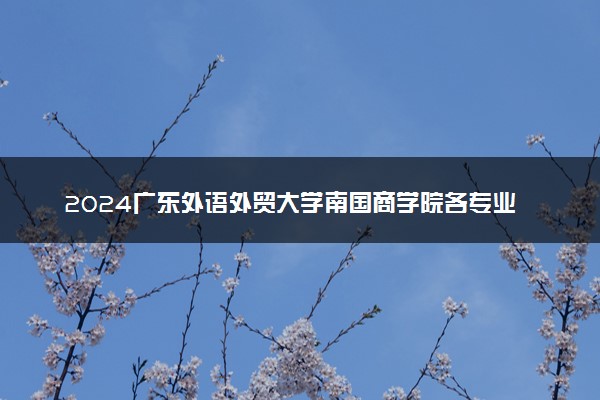 2024广东外语外贸大学南国商学院各专业录取分数线及位次 各省录取最低分是多少