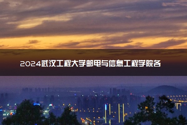 2024武汉工程大学邮电与信息工程学院各专业录取分数线及位次 各省录取最低分是多少