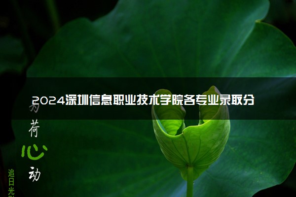 2024深圳信息职业技术学院各专业录取分数线及位次 各省录取最低分是多少