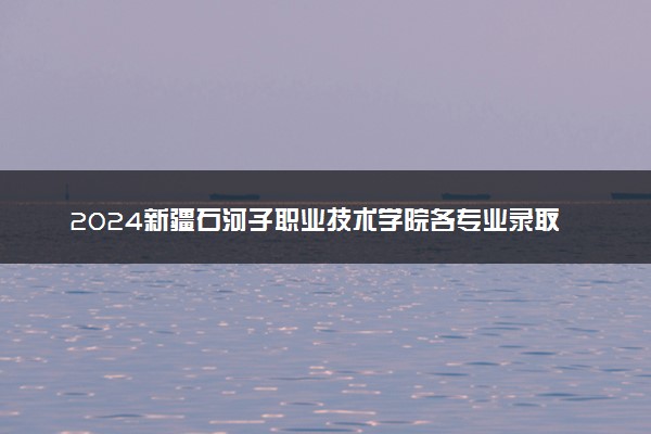 2024新疆石河子职业技术学院各专业录取分数线及位次 各省录取最低分是多少