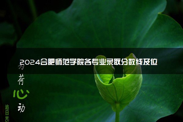 2024合肥师范学院各专业录取分数线及位次 各省录取最低分是多少