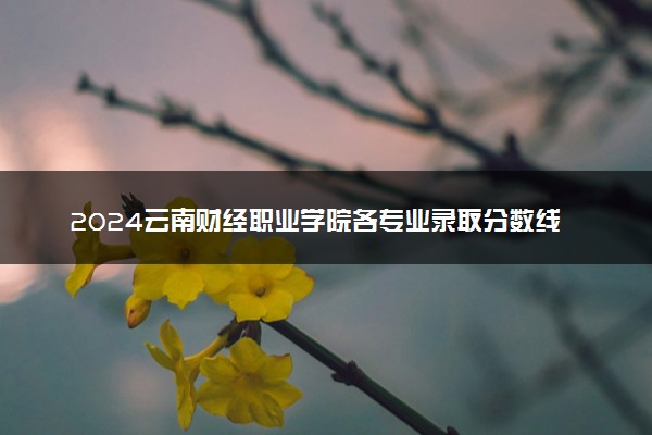 2024云南财经职业学院各专业录取分数线及位次 各省录取最低分是多少