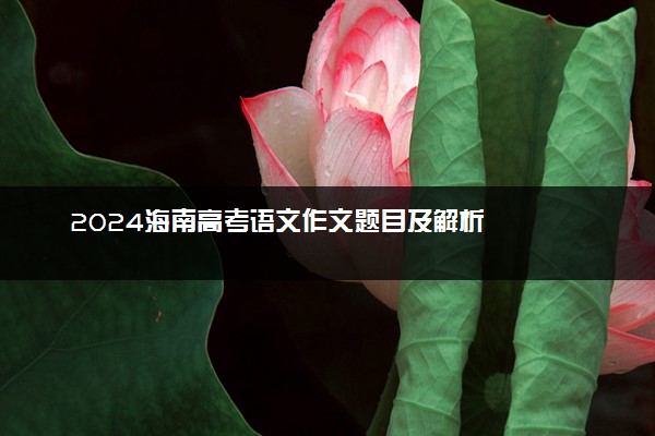 2024海南高考语文作文题目及解析
