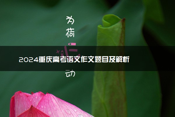 2024重庆高考语文作文题目及解析