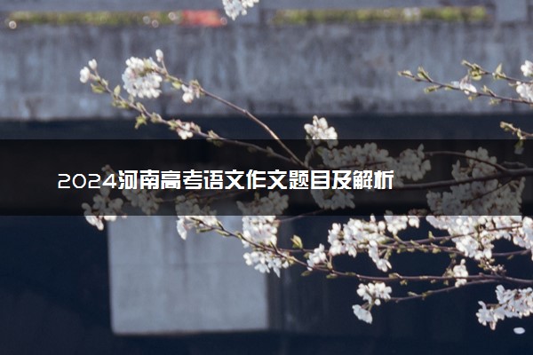 2024河南高考语文作文题目及解析