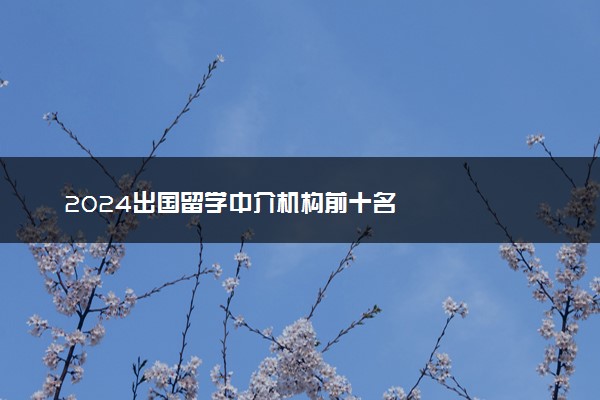 2024出国留学中介机构前十名