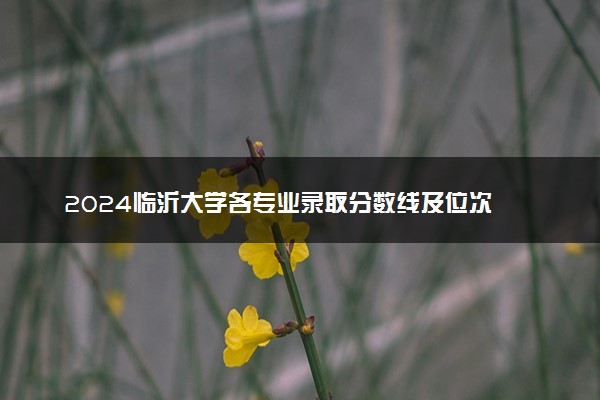 2024临沂大学各专业录取分数线及位次 各省录取最低分是多少