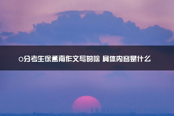 0分考生徐孟南作文写的啥 具体内容是什么