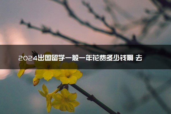 2024出国留学一般一年花费多少钱啊 去哪最便宜