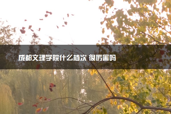 成都文理学院什么档次 很厉害吗