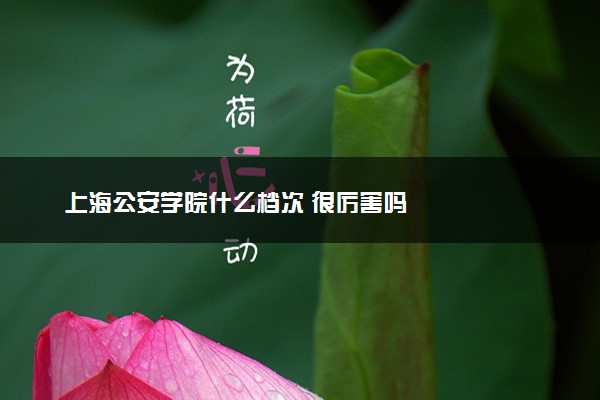 上海公安学院什么档次 很厉害吗