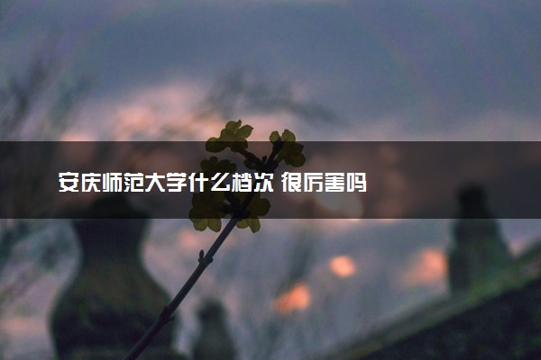 安庆师范大学什么档次 很厉害吗