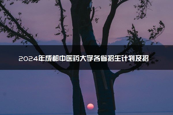2024年成都中医药大学各省招生计划及招生人数