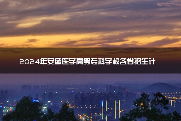 2024年安徽医学高等专科学校各省招生计划及招生人数