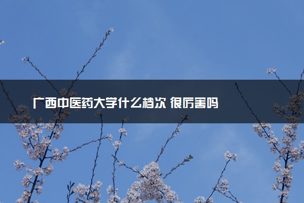广西中医药大学什么档次 很厉害吗