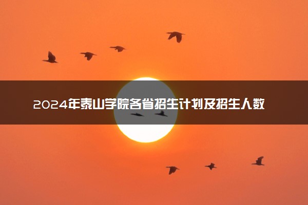 2024年泰山学院各省招生计划及招生人数