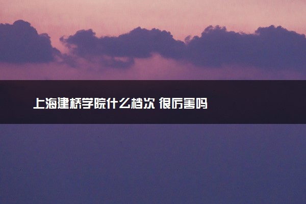 上海建桥学院什么档次 很厉害吗