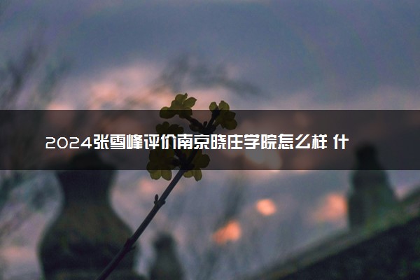 2024张雪峰评价南京晓庄学院怎么样 什么档次多少分能上