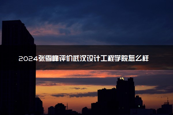 2024张雪峰评价武汉设计工程学院怎么样 什么档次多少分能上