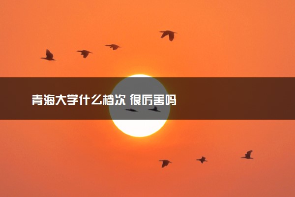 青海大学什么档次 很厉害吗