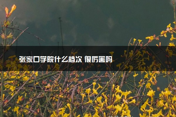 张家口学院什么档次 很厉害吗