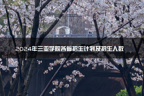 2024年三亚学院各省招生计划及招生人数