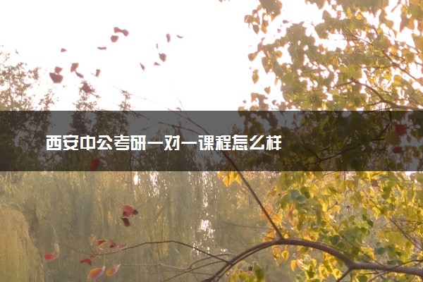 西安中公考研一对一课程怎么样