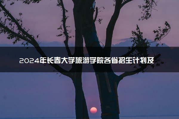 2024年长春大学旅游学院各省招生计划及招生人数