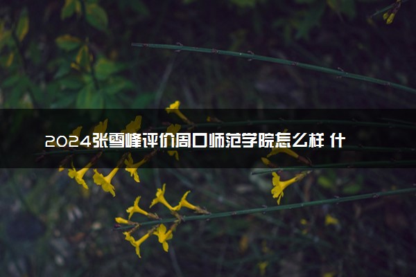 2024张雪峰评价周口师范学院怎么样 什么档次多少分能上