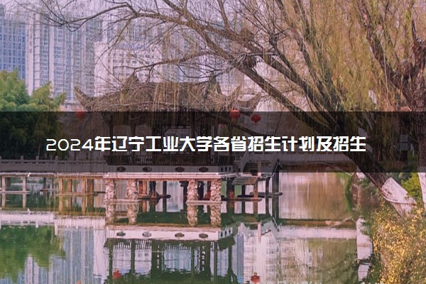 2024年辽宁工业大学各省招生计划及招生人数