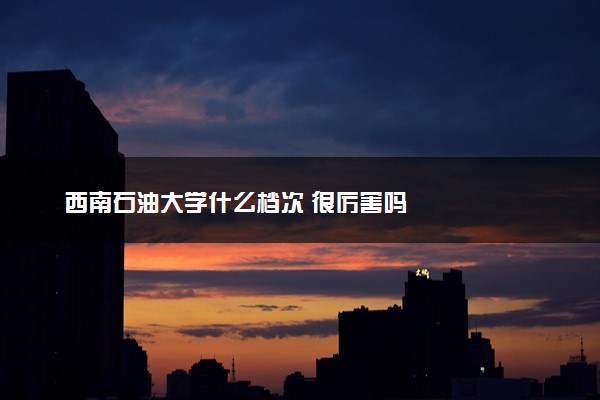 西南石油大学什么档次 很厉害吗