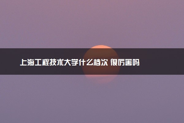 上海工程技术大学什么档次 很厉害吗