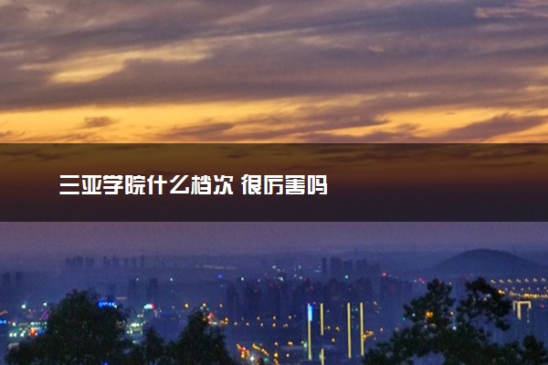 三亚学院什么档次 很厉害吗