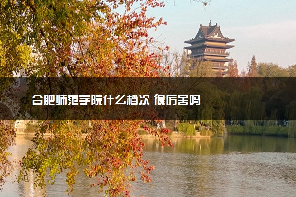 合肥师范学院什么档次 很厉害吗