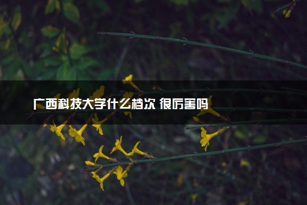 广西科技大学什么档次 很厉害吗