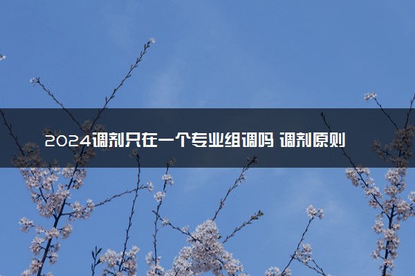 2024调剂只在一个专业组调吗 调剂原则是什么