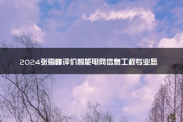 2024张雪峰评价智能电网信息工程专业怎么样 哪个学校最好