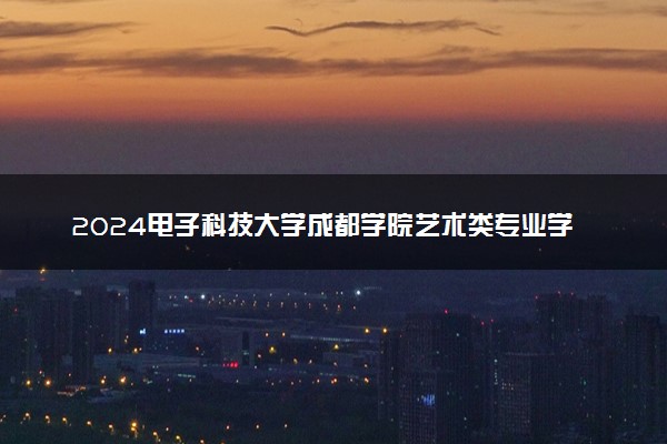 2024电子科技大学成都学院艺术类专业学费多少钱一年 各专业收费标准