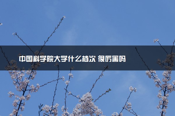 中国科学院大学什么档次 很厉害吗