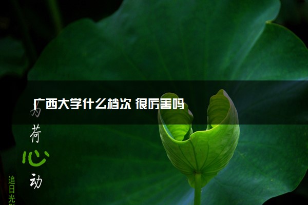 广西大学什么档次 很厉害吗