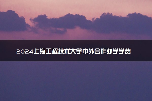 2024上海工程技术大学中外合作办学学费 各专业最新收费标准
