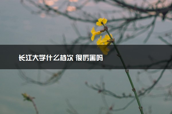 长江大学什么档次 很厉害吗