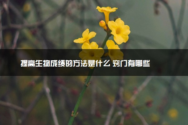 提高生物成绩的方法是什么 窍门有哪些